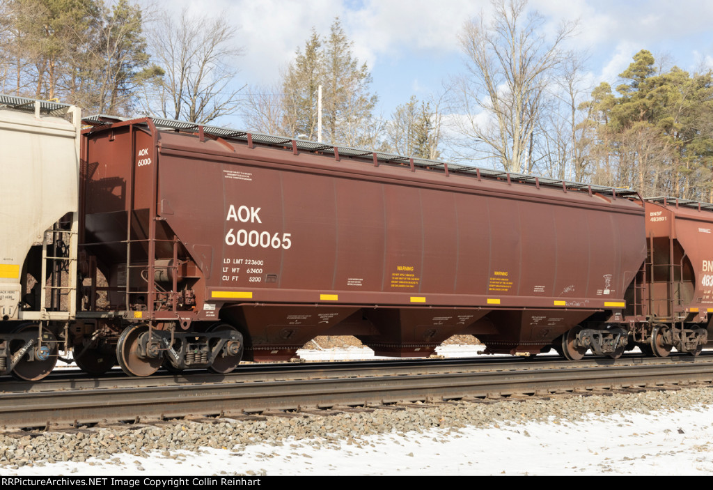 AOK 600065